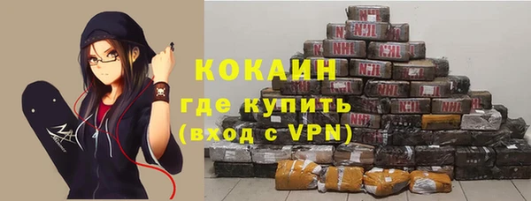 тгк Магас